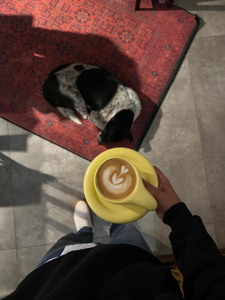 Coffee and friendly atmosphere at Ein Coffee House